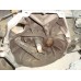 M2J4 скоростна кутия HONDA PRELUDE V 2.0cc 16v 